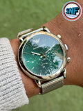 Emporio Armani AR1811 The Sleek Milanese Mesh strap and Bold Green Dial